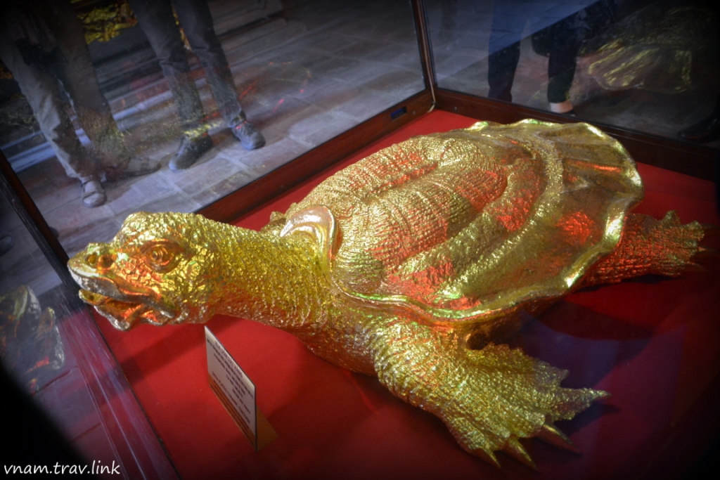 золотая черепаха в Храме Литературы в Ханое Вьетнам