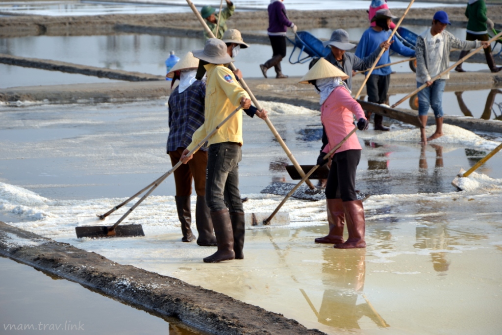 как добывают соль во Вьетнаме
